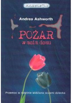 Pożar w moim domu