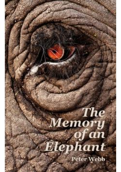 The Memory of an Elephant