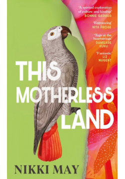 This Motherless Land