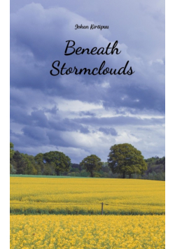 Beneath Stormclouds