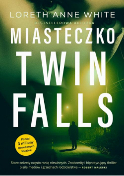 Miasteczko Twin Falls