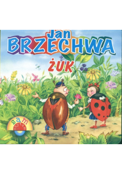 Żuk Sam czytam