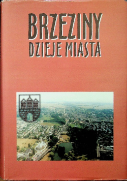 Brzeziny dzieje miasta