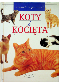 Koty i kocięta