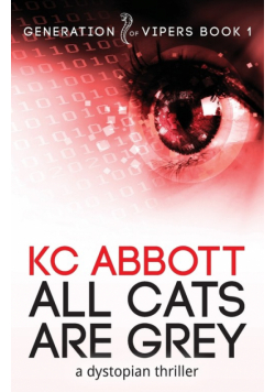 All Cats Are Grey