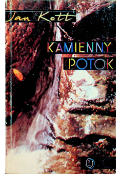 Kamienny potok