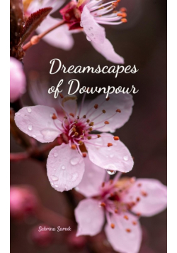 Dreamscapes of Downpour