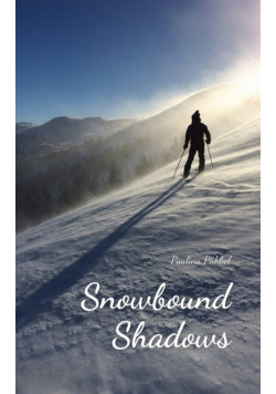 Snowbound Shadows