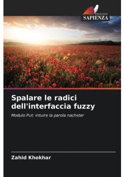 Spalare le radici dell'interfaccia fuzzy