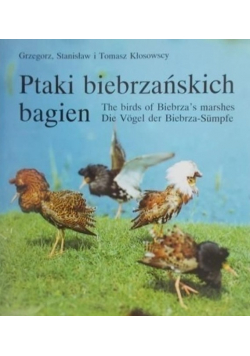 Ptaki biebrzańskich bagien