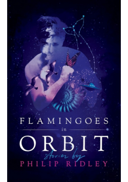 Flamingoes in Orbit