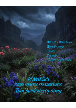 Powieści Józefa Ignacego Kraszewskiego. Tom 28