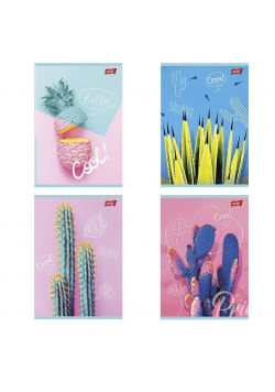 Zeszyt A5/60K linia Cacti (10szt)