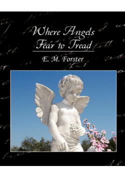 Where Angels Fear to Tread