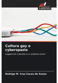 Cultura gay e cyberspazio