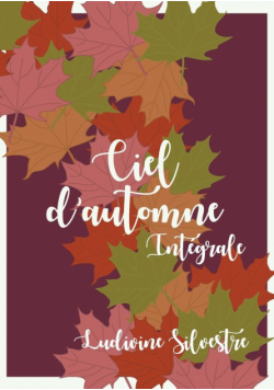 Ciel d'automne - intégrale