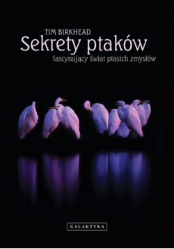 Sekrety ptaków