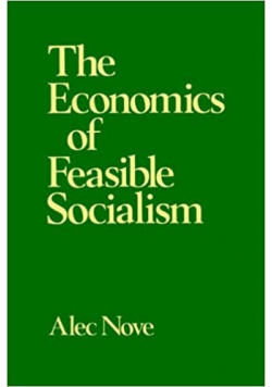 The Economics of Feasible Socialicm