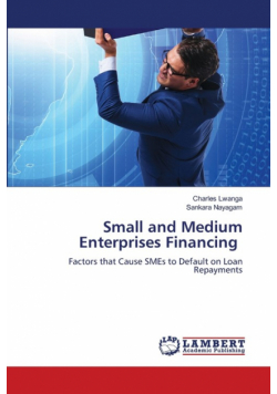 Small and Medium Enterprises Financing
