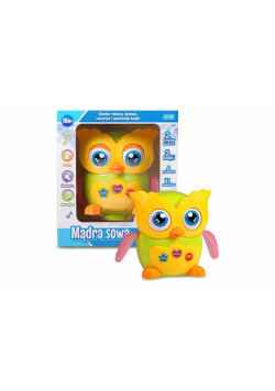 Mądra Sowa E-Edu mówi po polsku