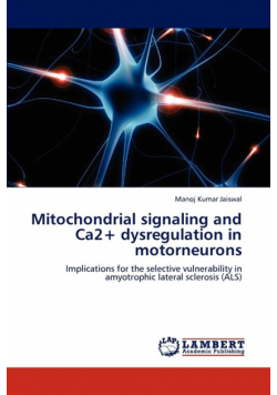 Mitochondrial signaling and Ca2+ dysregulation in motorneurons