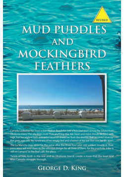 Mud Puddles and Mockingbird Feathers and the Sky Is Crying