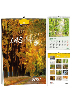 Kalendarz 2021 7 Plansz Las EV-CORP