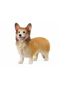 Corgi