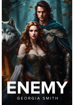 Enemy