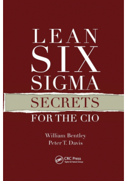 Lean Six Sigma Secrets for the CIO
