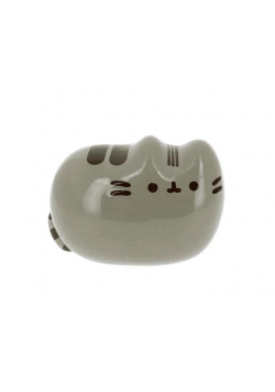 Pusheen Skarbonka