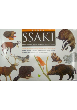Ssaki Plansze edukacyjne