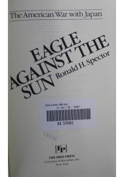 Eagle against the sun