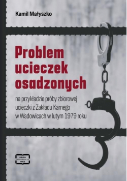 Problem ucieczek osadzonych