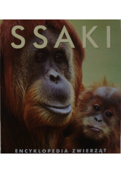 Ssaki encyklopedia zwierząt