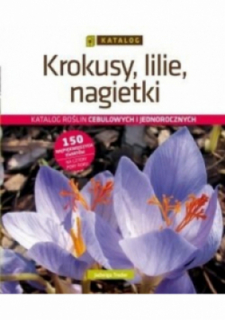 Krokusy lilie nagietki
