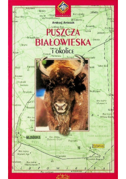 Puszcza Białowieska i okolice