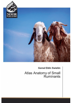 Atlas Anatomy of Small Ruminants
