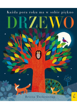 Drzewo. Każda pora roku ma w sobie piękno