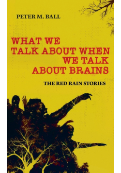 What We Talk About When We Talk About Brains
