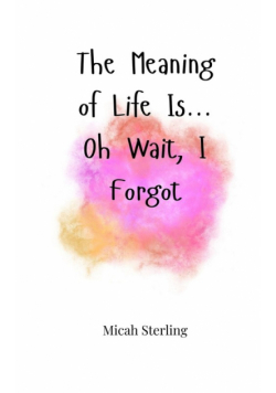 The Meaning of Life Is... Oh Wait, I Forgot