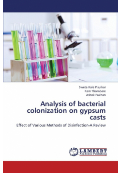 Analysis of Bacterial Colonization on Gypsum Casts