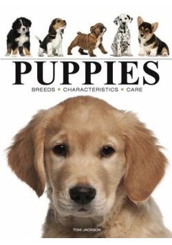 Puppies