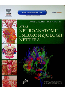 Atlas neuroanatomii i neurofizjologii Nettera w.II