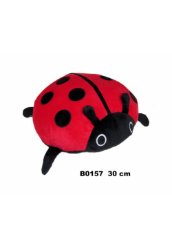 Biedronka 30cm