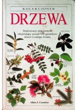 Drzewa