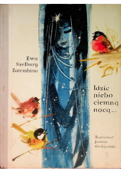 Idzie niebo ciemną nocą