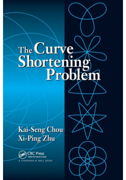 The Curve Shortening Problem