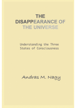 The Disappearance of the Universe