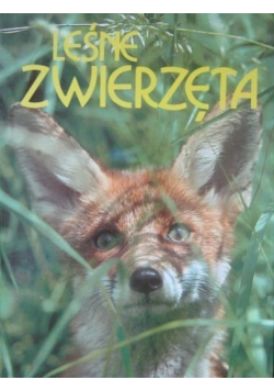 Leśne zwierzęta